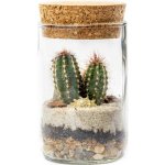 Gardners Skleněná váza Lipia s korkovým víčkem, výška 11,5 cm - osázené suchomilně – Hledejceny.cz
