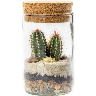 Gardners Skleněná váza Lipia s korkovým víčkem, výška 11,5 cm - osázené suchomilně – Hledejceny.cz