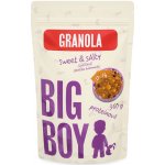 Big Boy Proteinová granola Sweet and Salty s příchutí slaného karamelu 360 g – Zboží Dáma