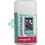Pangamin Gnostin 200 tablet – Hledejceny.cz