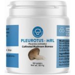 MRL Pleurotus-MRL hlíva ústřičná biomasa 90 tablet – Hledejceny.cz