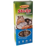 Avicentra Tyčinka Malý hlodavec ořechy 2 x 60 g – Zboží Dáma