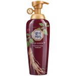 DAENG GI MEO RI Vitalizing Energy Treatment vyživující vlasová péče 500 ml – Hledejceny.cz