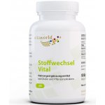 Vitaworld Metabolism Vital 90 kapslí – Hledejceny.cz