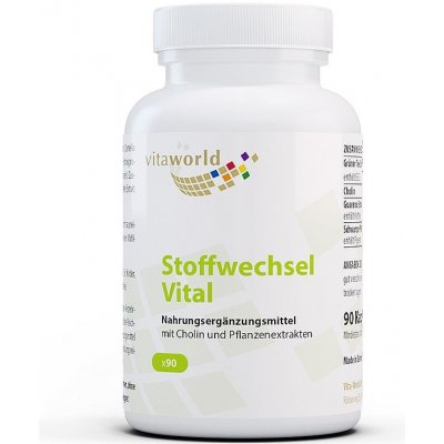 Vitaworld Metabolism Vital 90 kapslí – Hledejceny.cz
