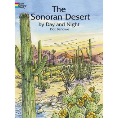 Sonoran Desert by Day and Night – Zboží Mobilmania