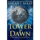 Kniha Tower of Dawn Throne of Glass Sarah J. Maas