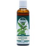 Naděje Kaštan pravý tinktura z pupenů rostlin 50 ml – Hledejceny.cz