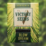 Victory Seeds Blow Dream semena neobsahují THC 5 ks – Zboží Dáma