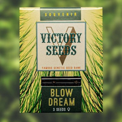 Victory Seeds Blow Dream semena neobsahují THC 5 ks – Zboží Dáma