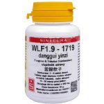 Sinecura WLF1.9 danggui yinzi 60 tablet – Hledejceny.cz