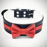 Bestia Collars Obojek pro psa Bowtie – Zboží Dáma