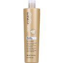 Šampon Inebrya Argan-Age arganový šampon pro lesk Brilliance Shampoo for Treated Dull and Lifeless Hair 300 ml