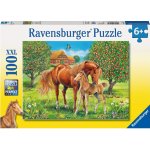 Ravensburger Koně na pastvině 100 dílků – Hledejceny.cz