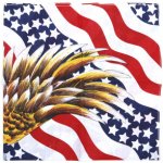 Šátek bandana Fosco USA Flag Eagle – Zboží Dáma