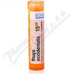 THUYA OCCIDENTALIS POR 15CH GRA 4G – Hledejceny.cz