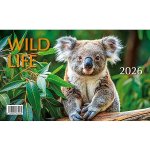 Mláďata Wild life stolní 23 x 14 cm 2026 – Hledejceny.cz