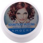 Amoené Avalinka čistá lékařská kosmetická vazelína bez parfemace 100 ml – Zbozi.Blesk.cz