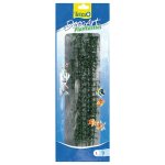 Tetra Hygrophila L 30 cm – Sleviste.cz