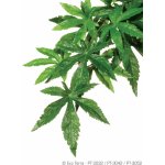 Hagen Exo Terra rostlina Abuliton střední 55 cm – Zboží Mobilmania