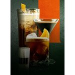 Jägermeister 35% 0,1 l (holá láhev) – Hledejceny.cz