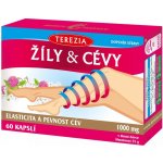 Terezia Žíly & Cévy 60 kapslí – Hledejceny.cz