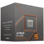 AMD Ryzen 5 8500G 100-100000931BOX – Zboží Živě
