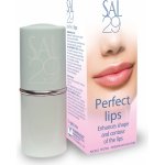 SAL29 Perfect lips balzámová rtěnka pro hydrataci rtů 4 g – Hledejceny.cz