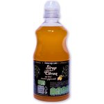 Praga Drinks Sirup s příchutí Citrón 0,5 l – Zboží Dáma