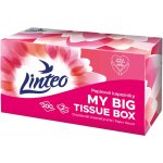 Linteo kapesníky 2-vrstvé 200 ks – Zboží Dáma