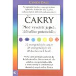 Čakry - Plné využití a léčba - Cyndi Dale – Hledejceny.cz