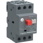 Schneider Electric GZ1E22 20,0 -25A – Hledejceny.cz