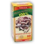 Terezia Company Hlíva Ústřičná 60 kapslí – Hledejceny.cz