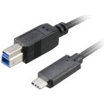 Akasa AK-CBUB28-10BK USB 3.1 C M - B M, 1m – Hledejceny.cz
