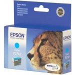 Epson C13T0712 - originální – Hledejceny.cz
