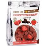 Mixit Křupavé jahody v čokoládě do kapsy 60 g – Zboží Mobilmania