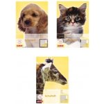 Herlitz Sešit A5 lineatura 8f – Zboží Dáma