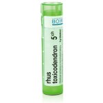 RHUS TOXICODENDRON POR 5CH GRA 4G – Hledejceny.cz