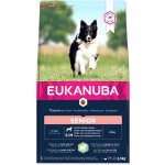 Eukanuba Mature & Senior Lamb 2,5 kg – Hledejceny.cz