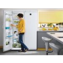 Lednice Zanussi ZRA 40100 WA