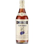 R. Jelínek Plum Liquer 18% 0,7 l (holá láhev) – Zboží Dáma