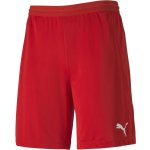 Puma teamFINAL 21 knit Shorts – Zboží Dáma