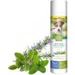 Gimborn IT Natural Solutions Šampon pro psy 250 ml – HobbyKompas.cz Gimborn IT Natural Solutions Šampon pro psy 250 ml – HobbyKompas.cz