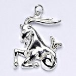 Čištín Zlatý přívěsek, znamení zvěrokruhu kozoroh P 941 – Zbozi.Blesk.cz