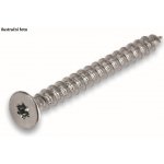 CIMCO Víceúčelový torxní vrut 3,5 x 30 mm T10 (200 ks) – Hledejceny.cz
