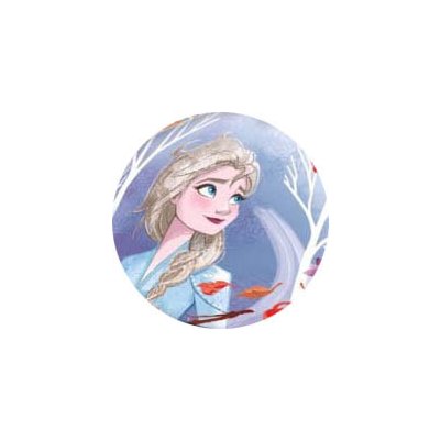 Euroswan dětská Frozen 2 Ledové království Anna Elsa – Zbozi.Blesk.cz