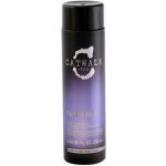 Tigi Catwalk Fashionista Conditioner 750 ml – Zbozi.Blesk.cz