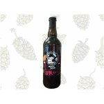 Nachmelená Opice IPA 14° 0,75 l (sklo) – Sleviste.cz
