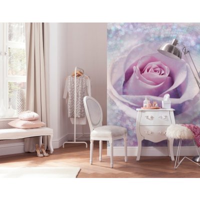 Komar XXL2-020 Vliesová fototapeta Delicate Rose květ růže rozměry 368x248 cm – Zboží Mobilmania