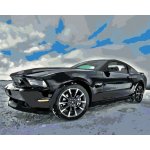 Diamondi Diamantové malování SPORTOVNÍ ČERNÉ AUTO 40 x 50 cm bez rámu a bez vypnutí plátna – Hledejceny.cz